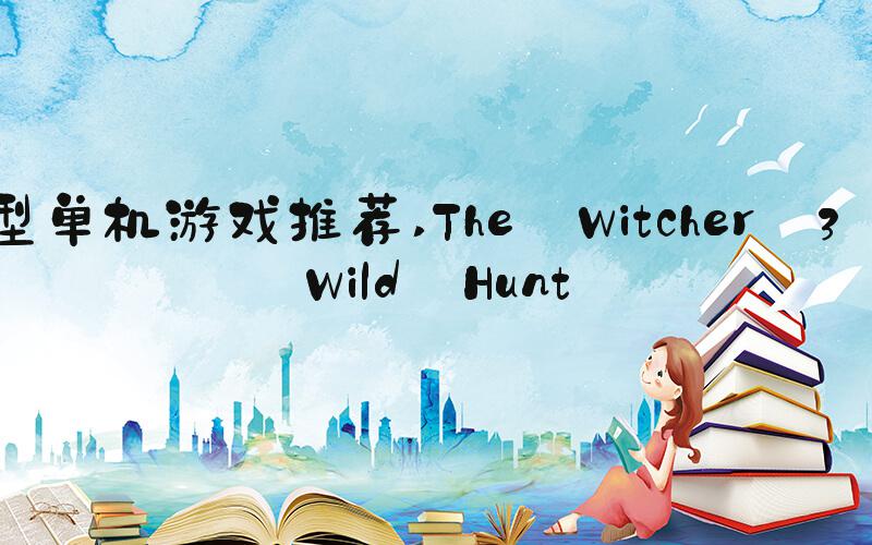 大型单机游戏推荐 The Witcher 3: Wild Hunt